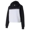 Puma Amplified Cropped Hoodie